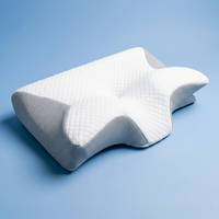 Orthopedic Neck & Sleep Pillow